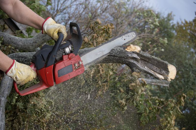 Firewood & Wood Chips