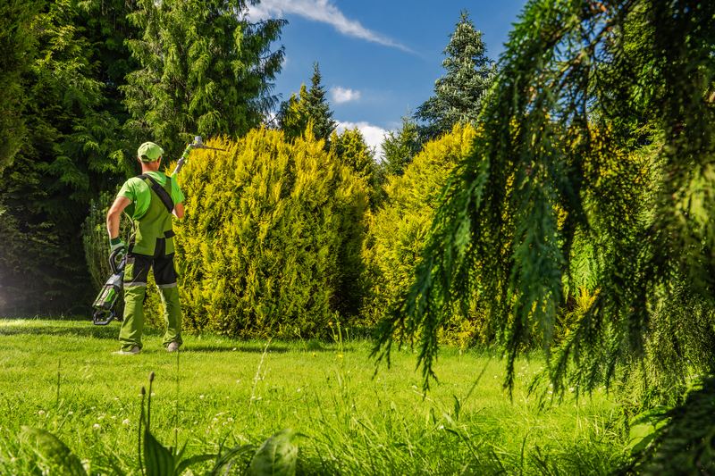 TruGreen (Tree & Shrub Care)